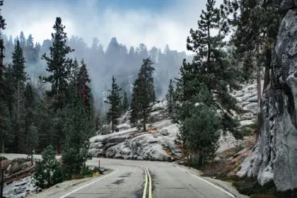 Road curve on the way to Sequoia national park