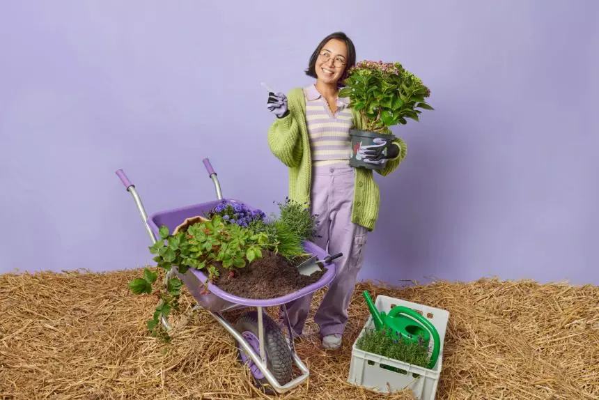 Gardening and agriculture concept. Positive Asian woman plants flowers dressed in casual clothes poi