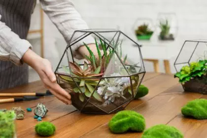 Make your home garden concept